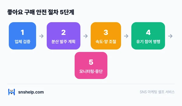 tiktok-followers-safe-growth 인포그래픽