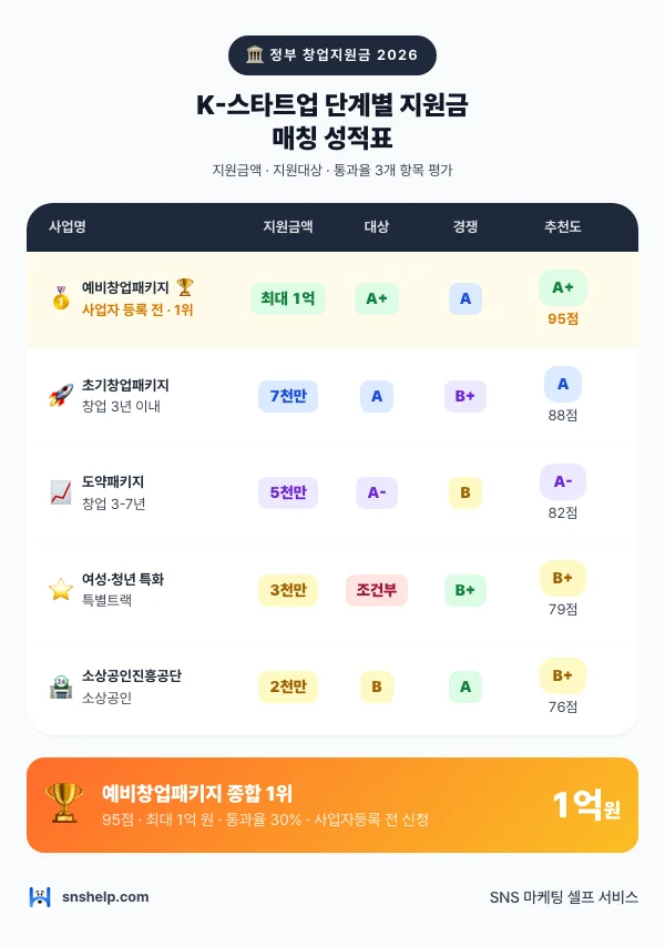 2026 정부 창업지원금 — 최대 1억까지 정부 창업지원금 인포그래픽 (snshelp)